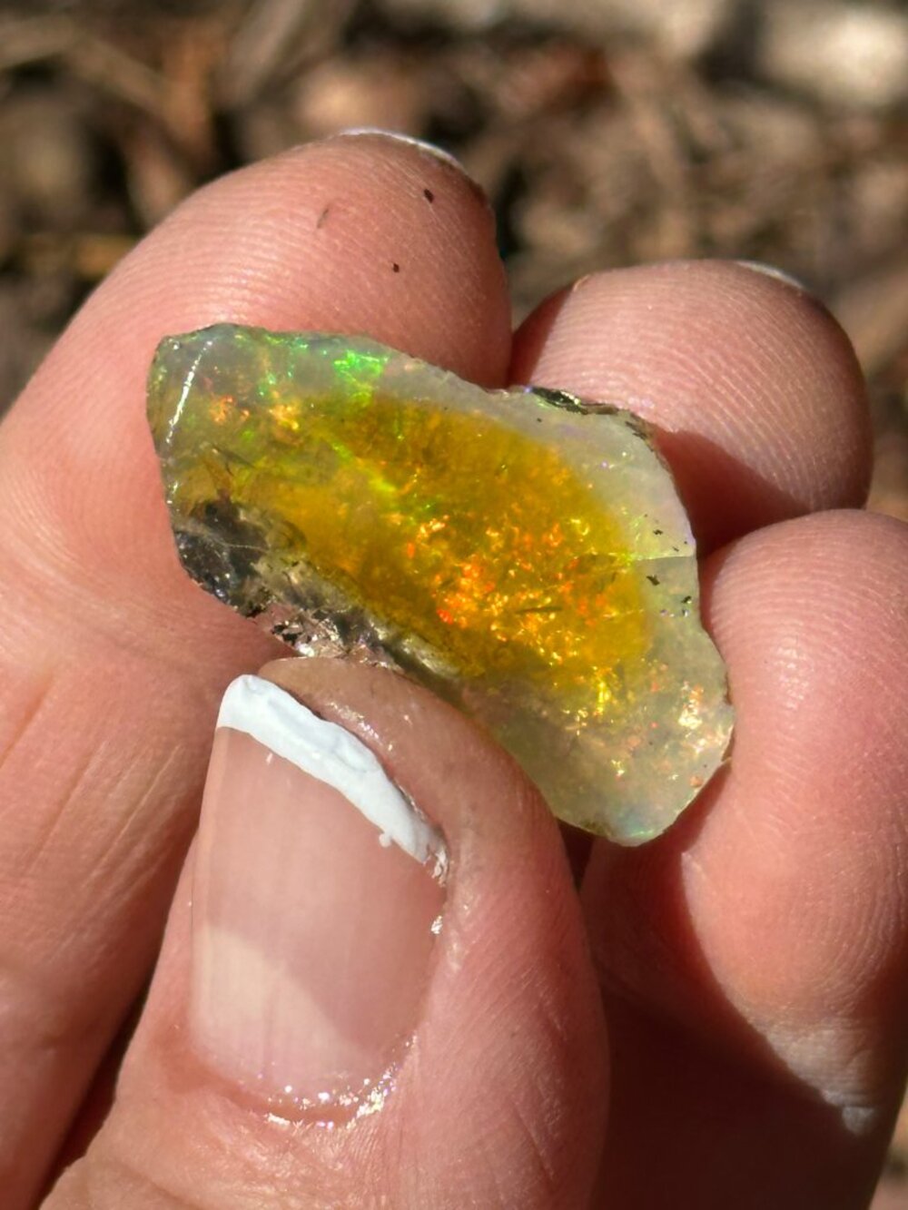 9 Ct Silver Dipped Fire Opal